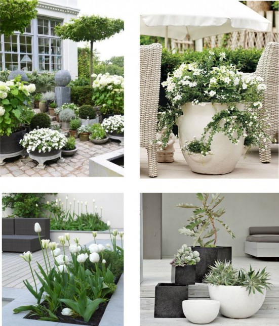 białe kwiaty na tarasie,balkon i taras z białymi i zielonymi roślinami,białe kwiaty w aranzacji ogrodów,białe inspiracje ogrodowe,białe tarasy i ogrody,betonowe donice,pomysł na biały ogród i taras
