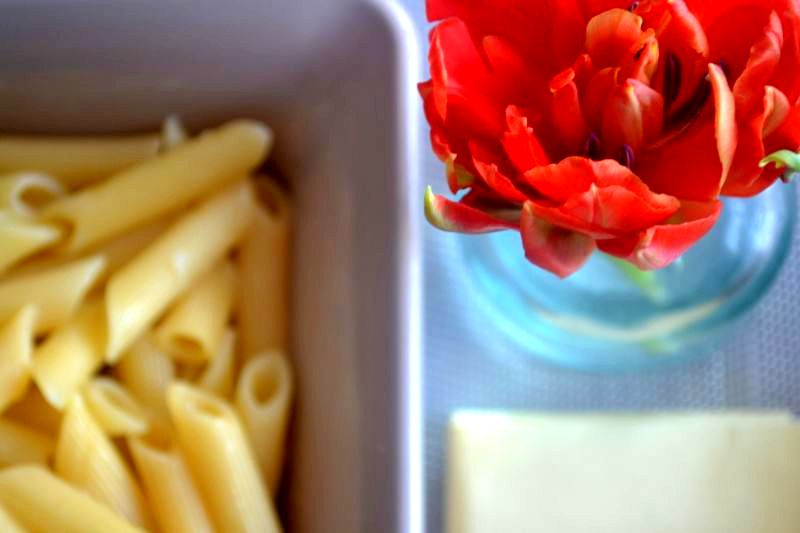 makaron penne